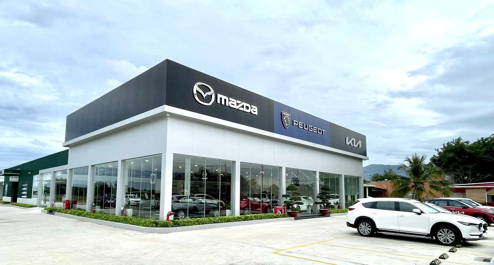 MAZDA HÀM THUẬN NAM